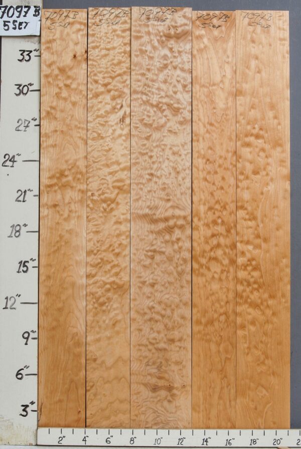 AAAA QUILTED MAPLE 5 BOARD SET 21" X 36" X 4/4 (NWT-7097B)