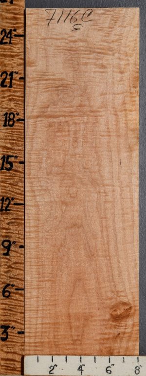 Musical Curly Maple Billet 8" X 25" X 2"1/4 (NWT-7116C)