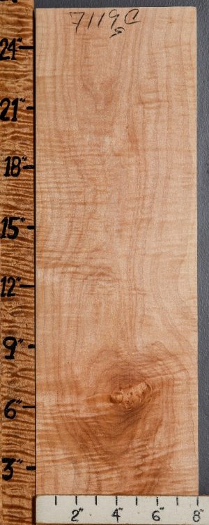Musical Curly Maple Billet 8" X 25" X 2"1/4 (NWT-7119C)