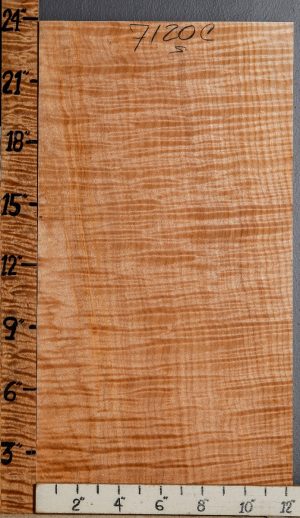 Musical Curly Maple Billet 12"1/4 X 23" X 1"5/8 (NWT-7120C)
