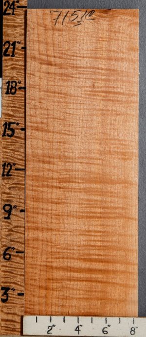 Musical Curly Maple Billet 8"1/4 X 23" X 1"3/4 (NWT-7151C)