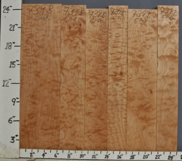 AAAAA QUILTED MAPLE SET OF 6 25" X 24" X 4/4 (NWT739B)