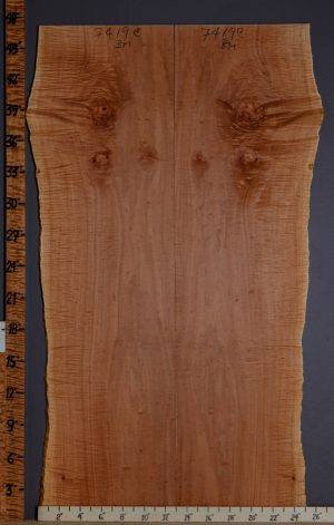 Musical Curly Maple Microlumber Bookmatch 25" X 47" X 3/8 (NWT-7419C)