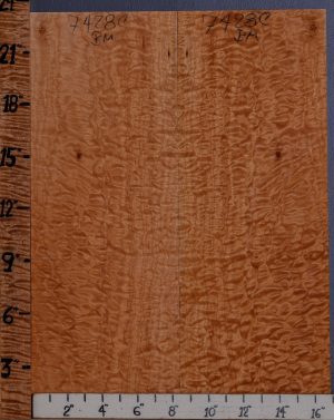 Musical Quilted Maple Microlumber Bookmatch 17" X 23" X 1/4 (NWT-7428C)