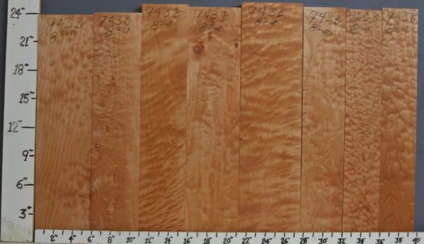 AAAAA QUILTED MAPLE SET OF 8 39"1/2 X 24" X 4/4 (NWT743B)