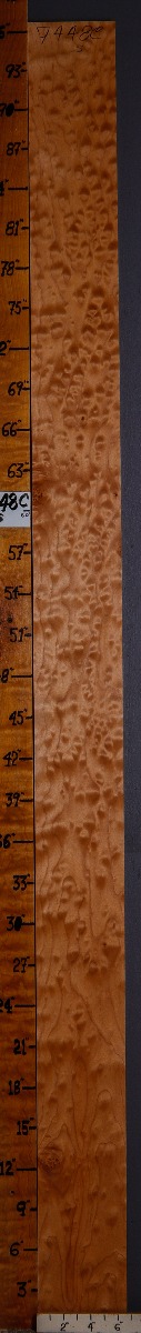 5A Quilted Maple Lumber 6"1/2 X 96" X 4/4 (NWT-7448C)