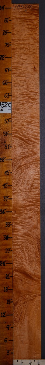 5A Quilted Maple Lumber 6"1/2 X 84" X 4/4 (NWT-7452C)
