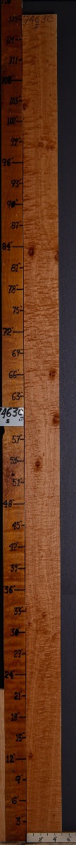 5A Curly Maple Lumber 4"7/8 X 117" X 4/4 (NWT-7463C)