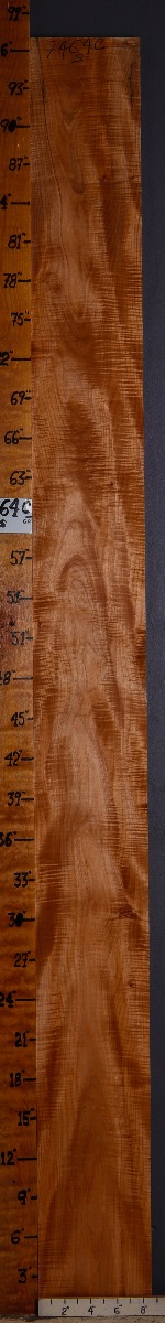 5A Curly Maple Lumber 8"1/2 X 96" X 4/4 (NWT-7464C)