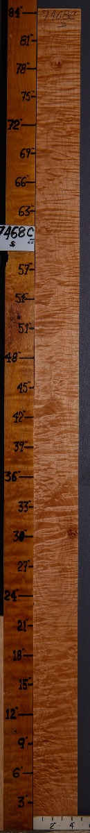 5A Curly Maple Lumber 4"1/2 X 84" X 4/4 (NWT-7468C)