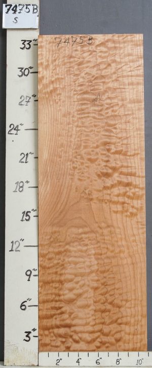MUSICAL QUILTED MAPLE BILLET 10"7/8 X 33" X 1"7/8 (NWT-7475B)