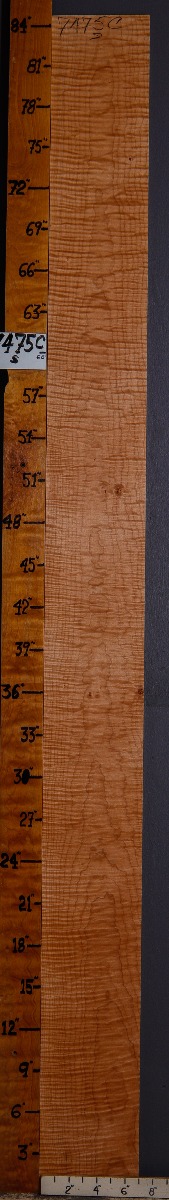Musical Curly Maple Lumber 7" X 84" X 4/4 (NWT-7475C)