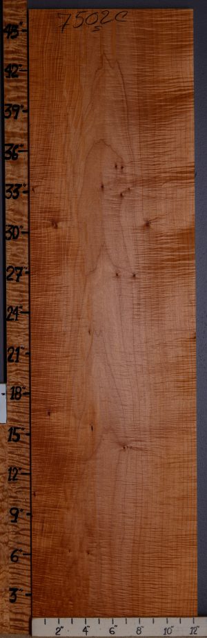 5A Curly Maple Lumber 12"1/4 X 46" X 5/4 (NWT-7502C)
