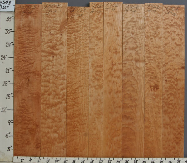 AAAAA QUILTED MAPLE SET OF 8 39" X 36" X 4/4 (NWT750B)