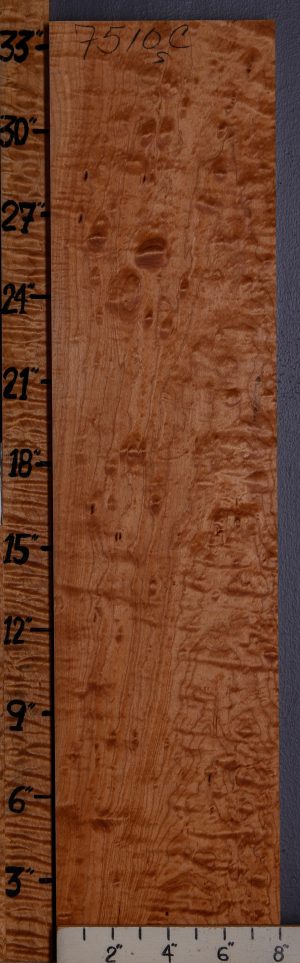 5A Quilted Maple Lumber 8" X 33" X 5/4 (NWT-7510C)