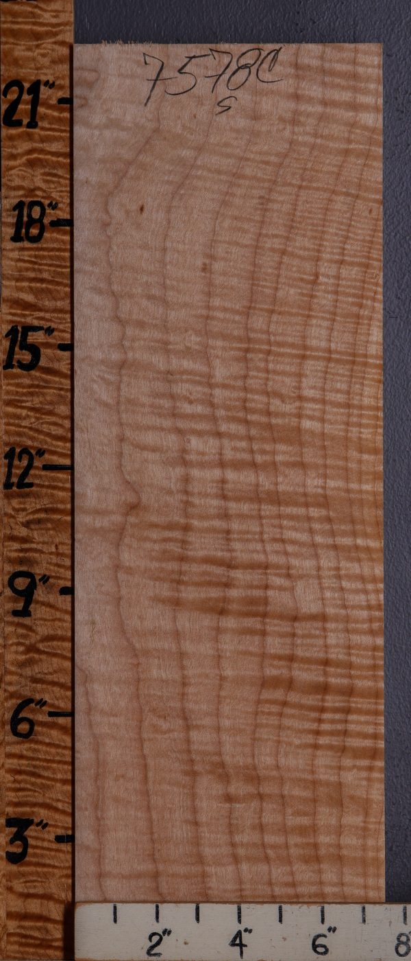Musical Curly Maple Billet 7"1/2 X 22" X 1"7/8 (NWT-7578C)