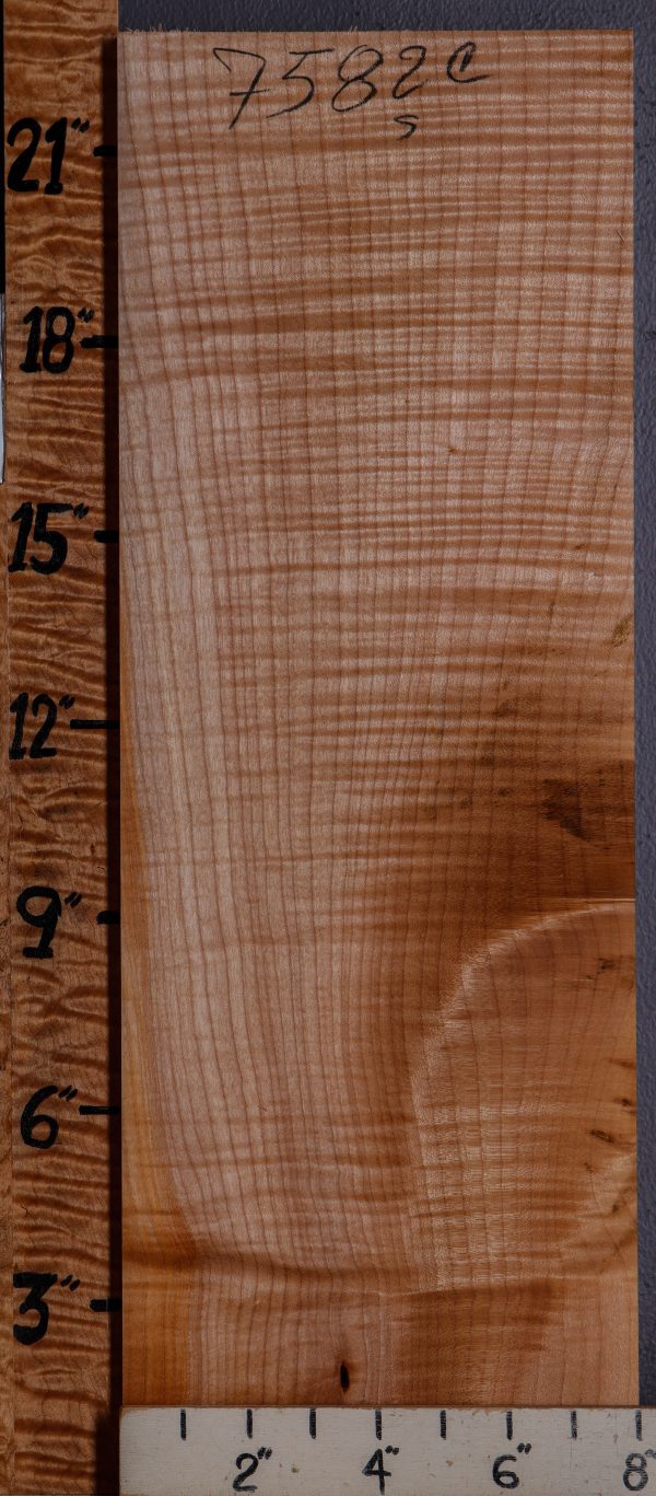 Musical Curly Maple Billet 8"X 22" X 2"1/8 (NWT-7582C)