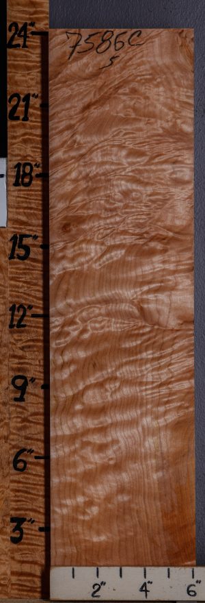 Musical Quilted Maple Block 6"1/8 X 24" X 2"1/4 (NWT-7586C)