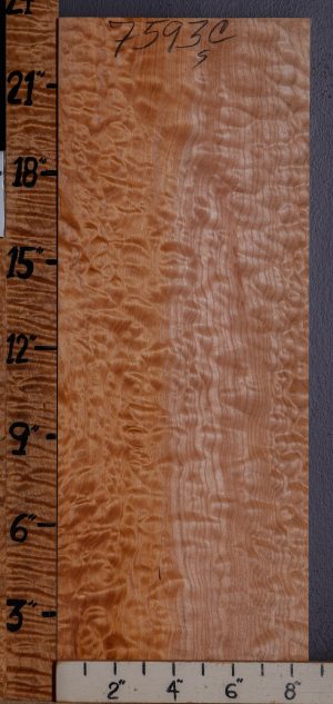 Musical Curly Maple Billet 8"1/2 X 23" X 1"3/4 (NWT-7593C)