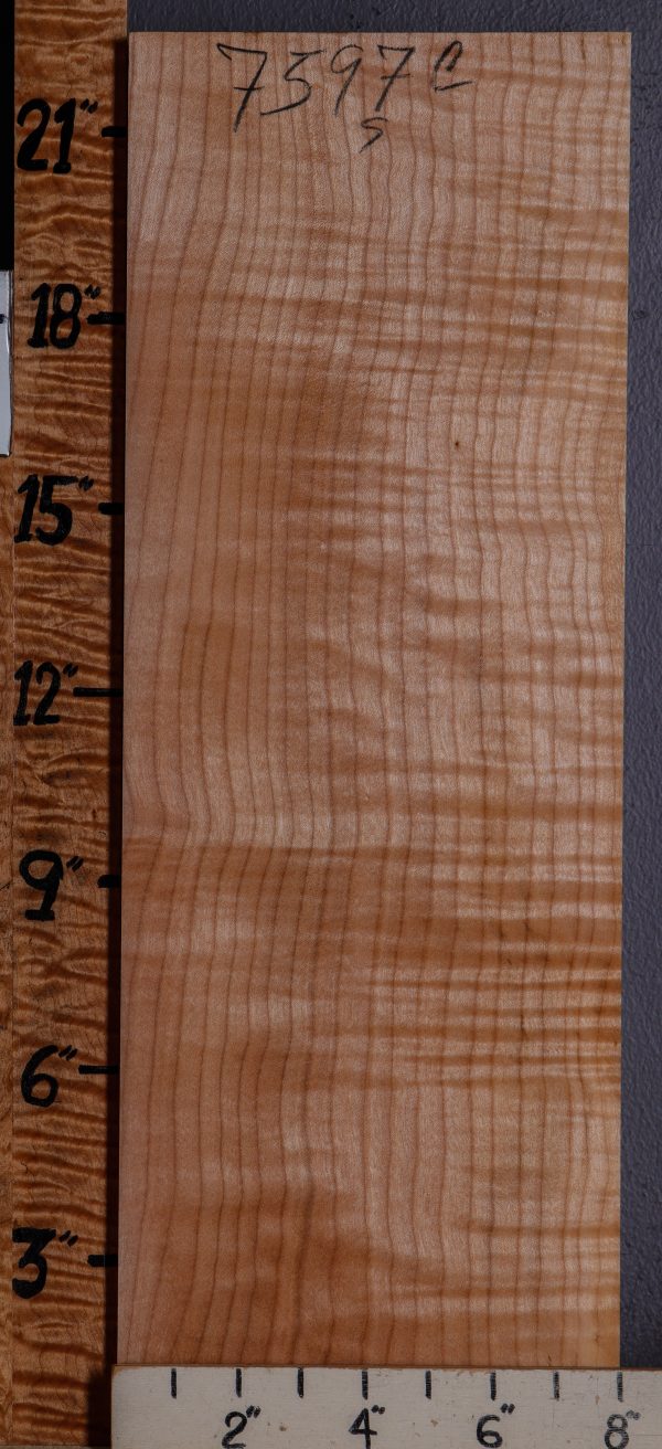 Musical Curly Maple Billet 8" X 22" X 2"1/8 (NWT-7597C)