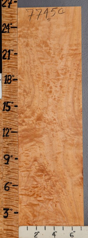 Musical Quilted Maple Block 7"1/4 X 26" X 1"1/4 (NWT-7745C)