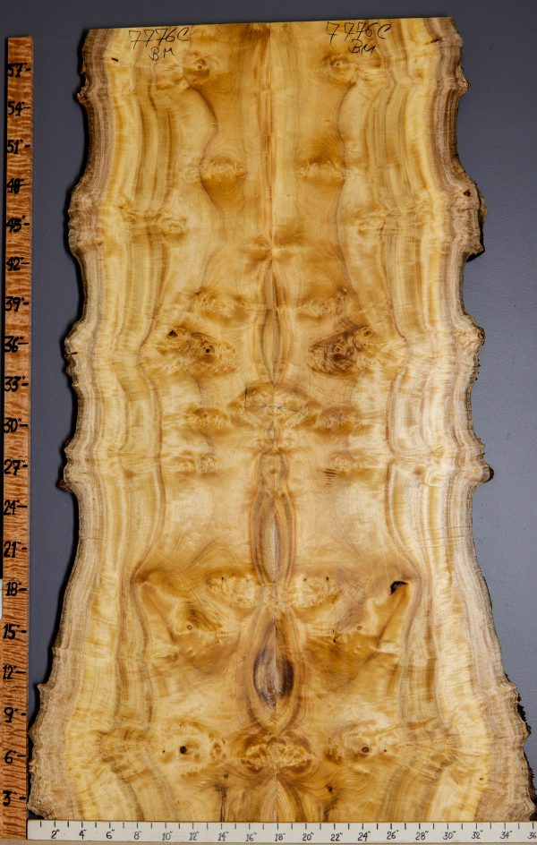 5A Burl Spalted Myrtlewood Bookmatch with Live Edge 29" X 59" X 4/4 (NWT-7776C)