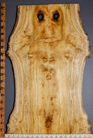5A Burl Myrtlewood Bookmatch with Live Edge 29" X 59" X 4/4 (NWT-7777C)