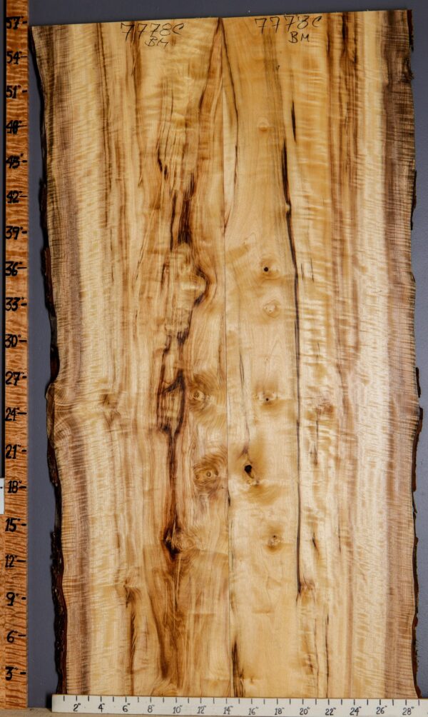 5A Curly Striped Myrtlewood Bookmatch with Live Edge 29" X 56" X 5/4 (NWT-7778C) - Image 2