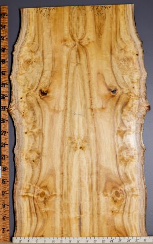 5A Striped Myrtlewood Bookmatch with Live Edge 29" X 58" X 4/4 (NWT-7779C)