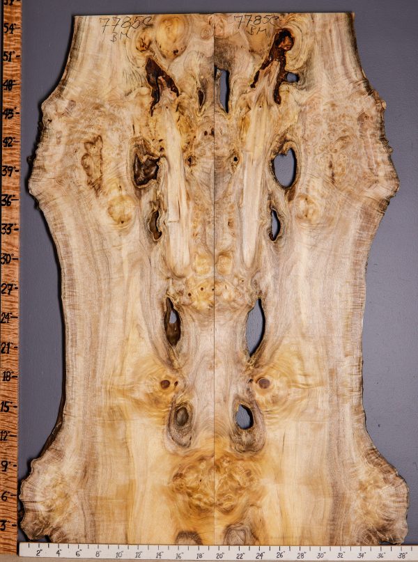 4A Burl Myrtlewood Bookmatch with Live Edge 31" X 55" X 4/4 (NWT-7785C)