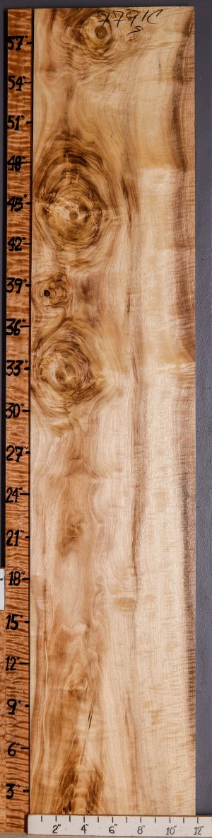 5A Curly Striped Myrtlewood Lumber 11"5/8 X 59" X 4/4 (NWT-7791C)