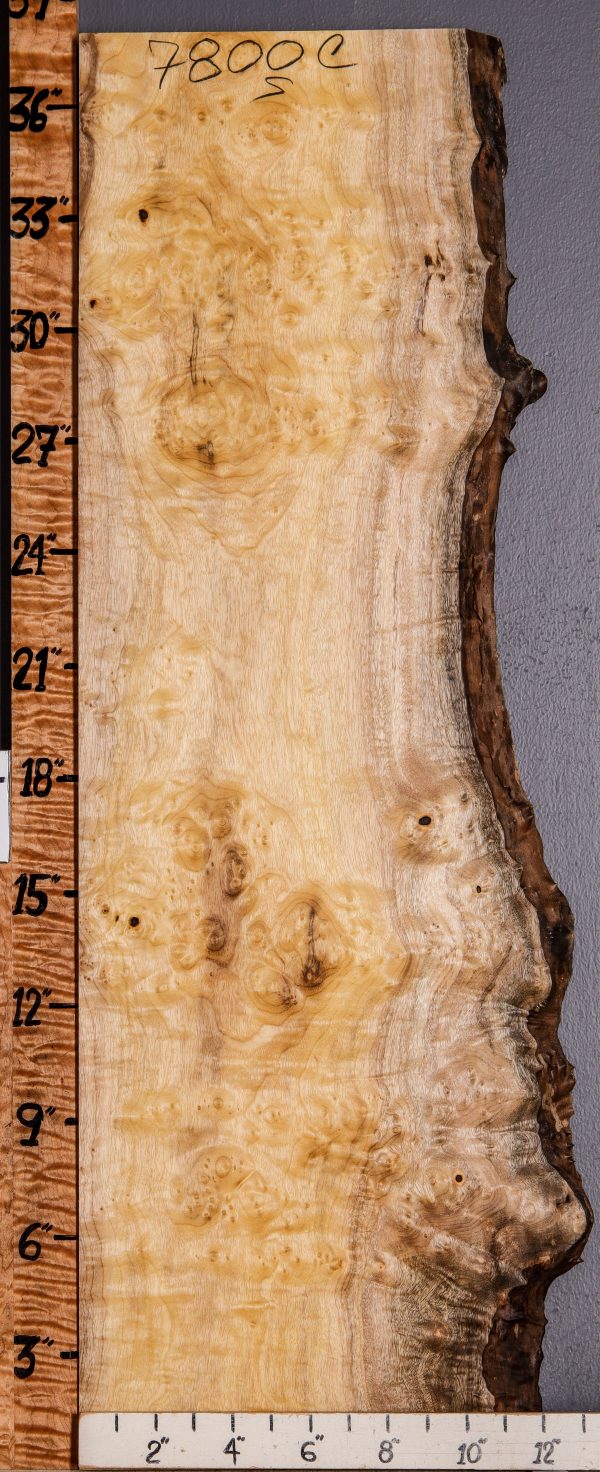 5A Burl Myrtlewood Lumber with Live Edge 11" X 37" X 4/4 (NWT-7800C)