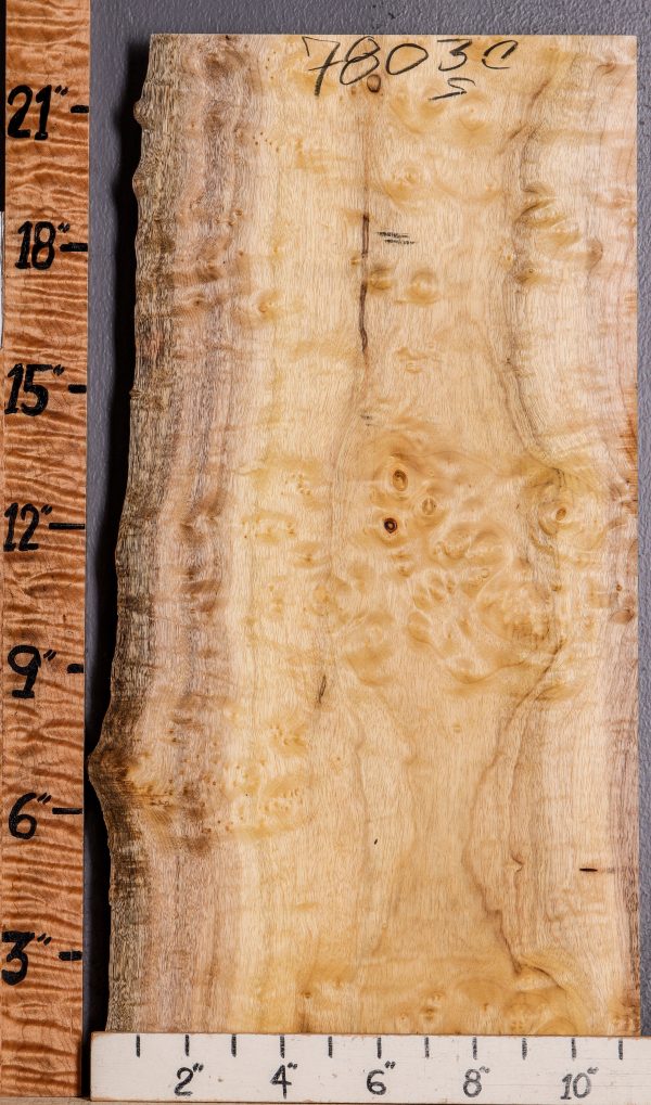 5A Burl Myrtlewood Lumber with Live Edge 10" X 22" X 4/4 (NWT-7803C)