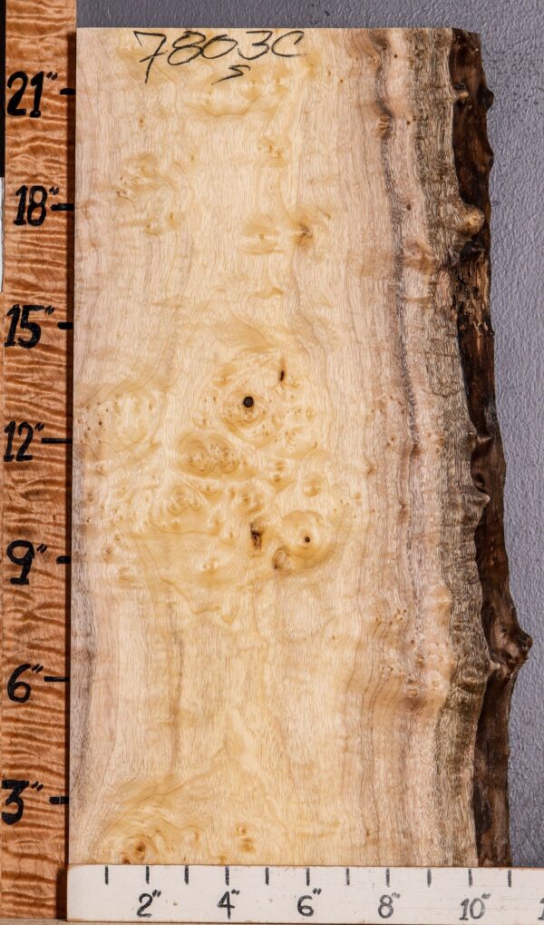 5A Burl Myrtlewood Lumber with Live Edge 10" X 22" X 4/4 (NWT-7803C) - Image 2