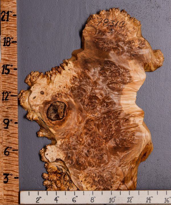 5A Burl Maple Lumber with Live Edge 15" X 21" X 7/8 (NWT-7831C)