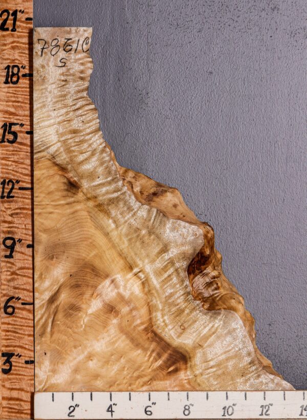 5A Burl Myrtlewood Lumber with Live Edge 12" X 20" X 2"1/8 (NWT-7861C)