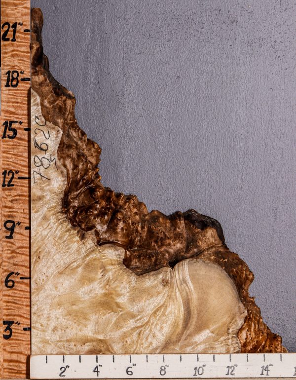 5A Burl Myrtlewood Lumber with Live Edge 16" X 18" X 2"1/4 (NWT-7862C)
