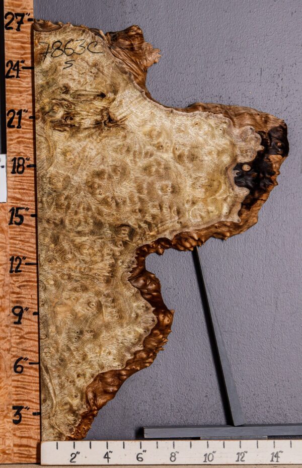 5A Burl Myrtlewood Lumber with Live Edge 15" X 26" X 1" (NWT-7863C)