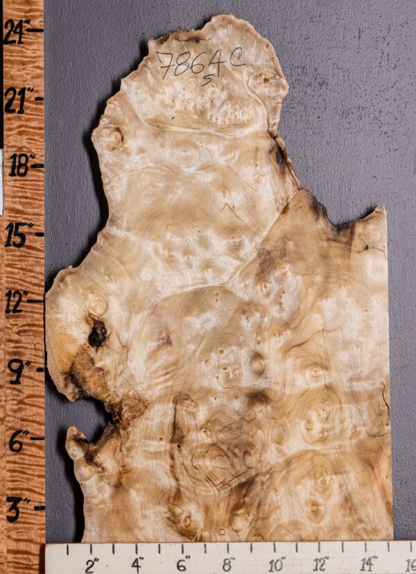 5A Burl Myrtlewood Lumber with Live Edge 15" X 23" X 3/4 (NWT-7864C) - Image 2