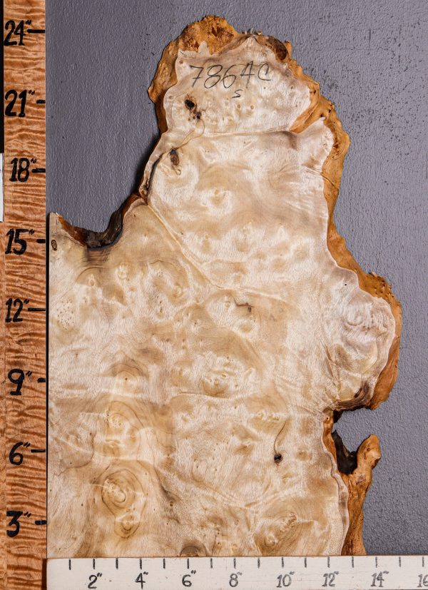 5A Burl Myrtlewood Lumber with Live Edge 15" X 23" X 3/4 (NWT-7864C)
