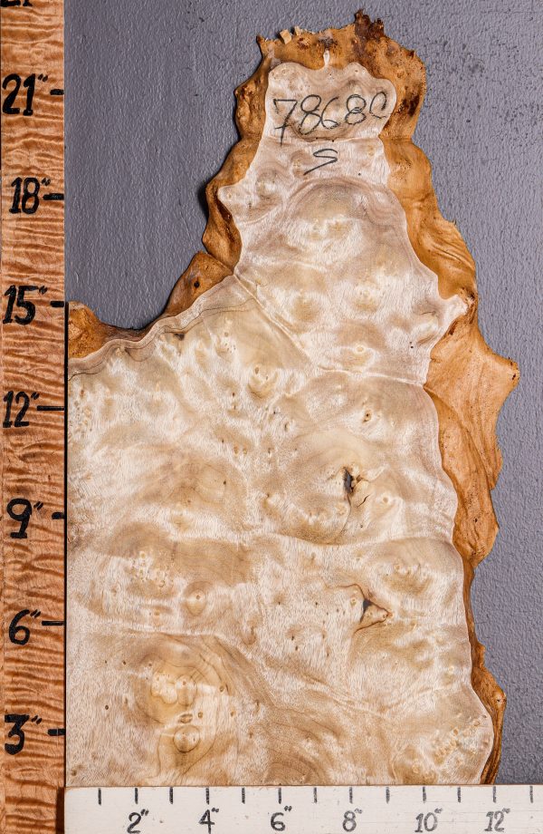 5A Burl Myrtlewood Lumber with Live Edge 12" X 22" X 2" (NWT-7868C)