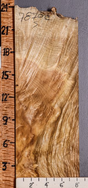 5A Burl Myrtlewood Lumber with Live Edge 8"1/4 X 23" X 7/8 (NWT-7870C)