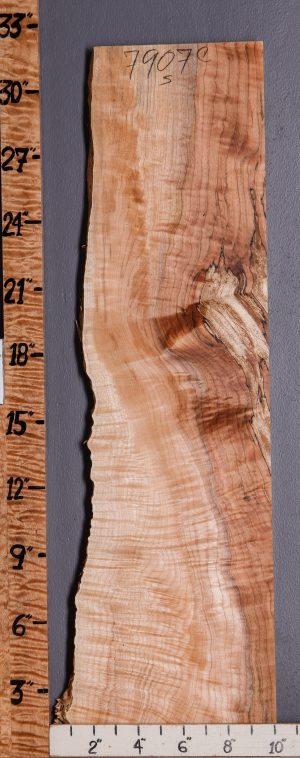 5A Curly Spalted Maple Lumber with Live Edge 8" X 32" X 4/4 (NWT-7907C)