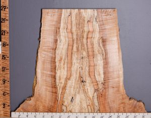 5A Curly Spalted Maple Lumber Bookmatch with Live Edge 18" X 26" X 4/4 (NWT-7913C)