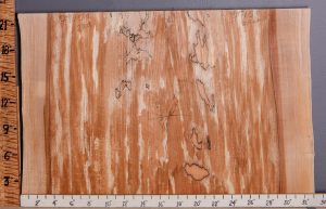 5A Spalted Maple Lumber 2 Board Set with Live Edge 32" X 22" X 4/4 (NWT-7915C)