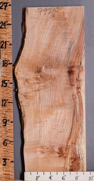 5A Curly Spalted Maple Lumber with Live Edge 91/2" X 26" X 4/4 (NWT-7921C)