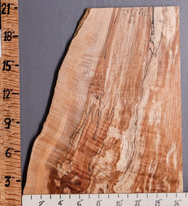 5A Spalted Curly Maple Lumber with Live Edge 10" X 20" X 4/4 (NWT-7924C) - Image 2