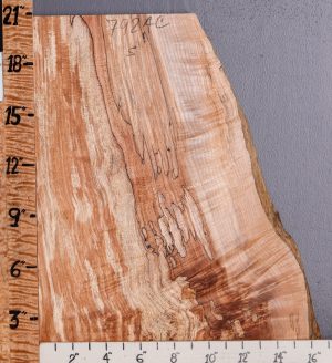 5A Spalted Curly Maple Lumber with Live Edge 10" X 20" X 4/4 (NWT-7924C)