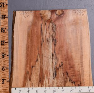 5A Curly Spalted Maple Lumber with Live Edge 17" X 19" X 4/4 (NWT-7925C)