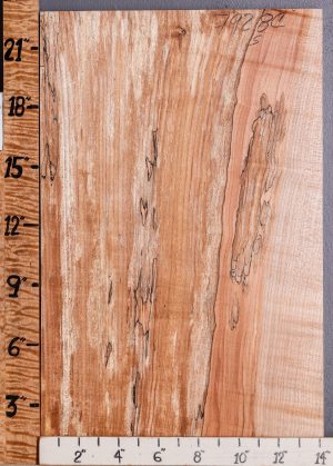 5A Curly Spalted Maple Lumber 14" X 22" X 4/4 (NWT-7928C)